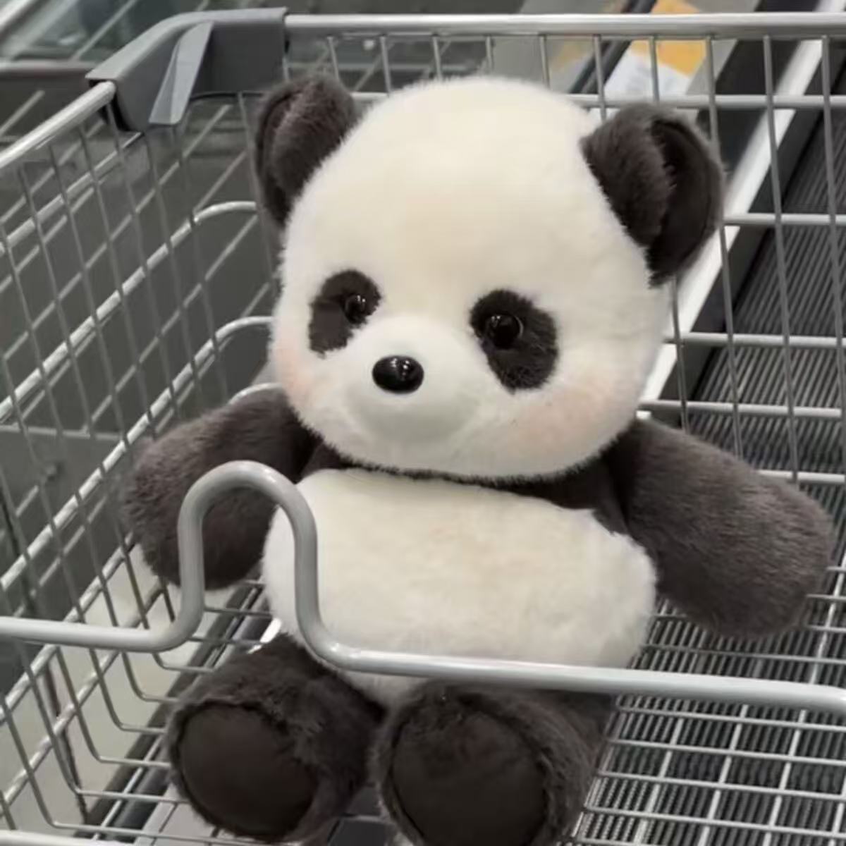 Kuschelbuddy